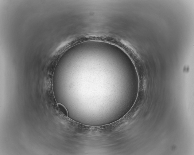 X0000094191350200711021018