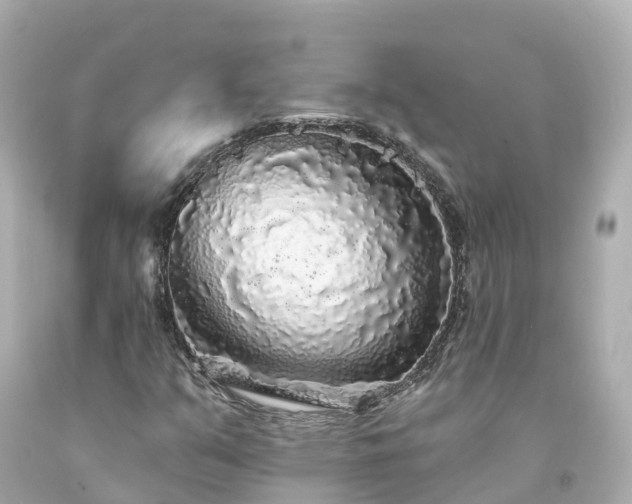 X0000094191351200711021018