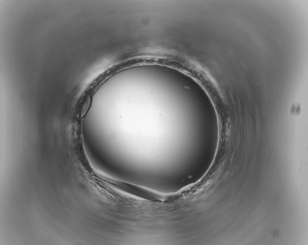 X0000094191352200711021018