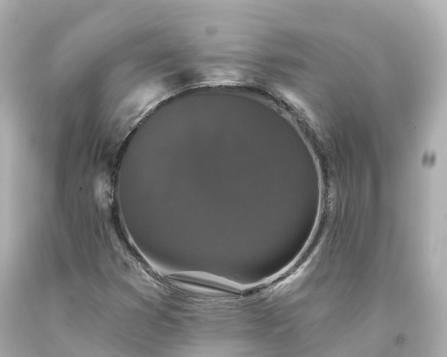 X0000094191353200711021018