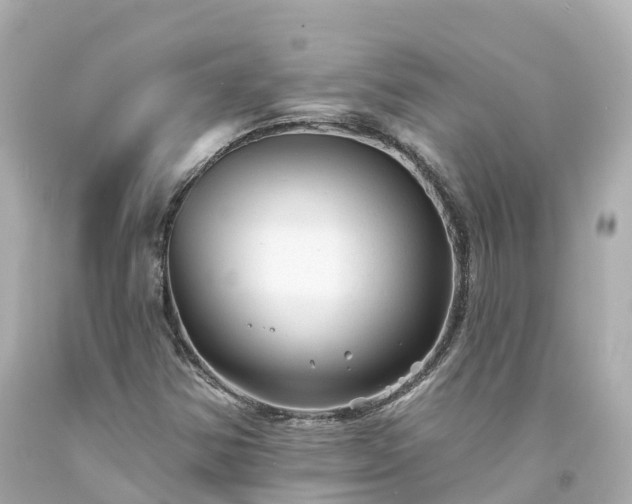 X0000094191354200711021018