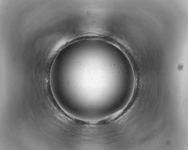 X0000094191355200711021018