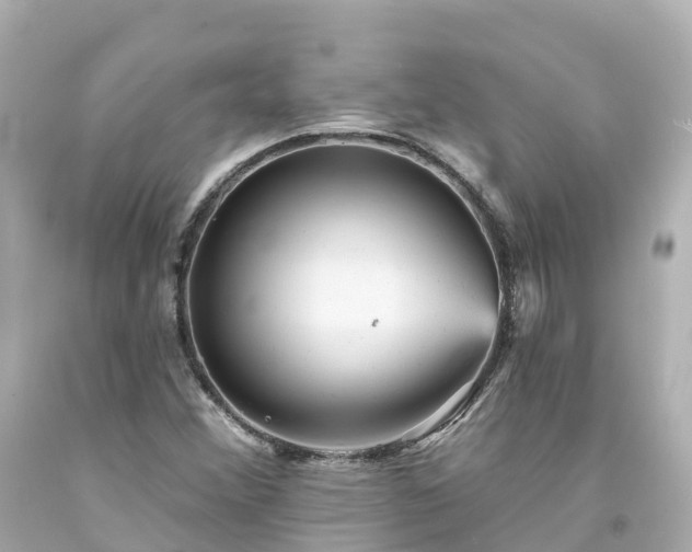 X0000094191356200711021018