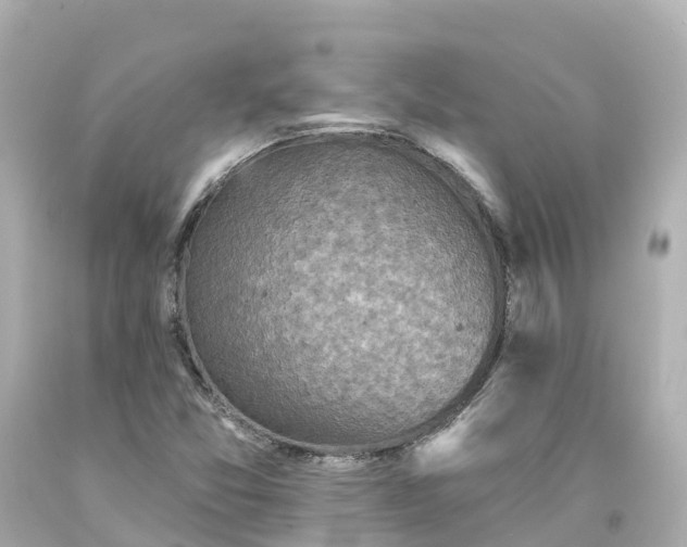 X0000094191357200711021018