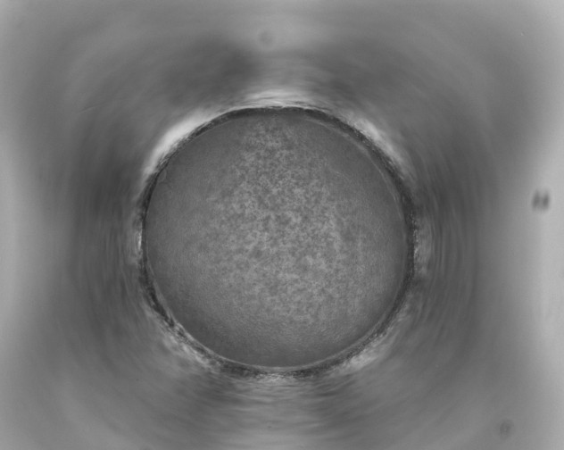 X0000094191358200711021018