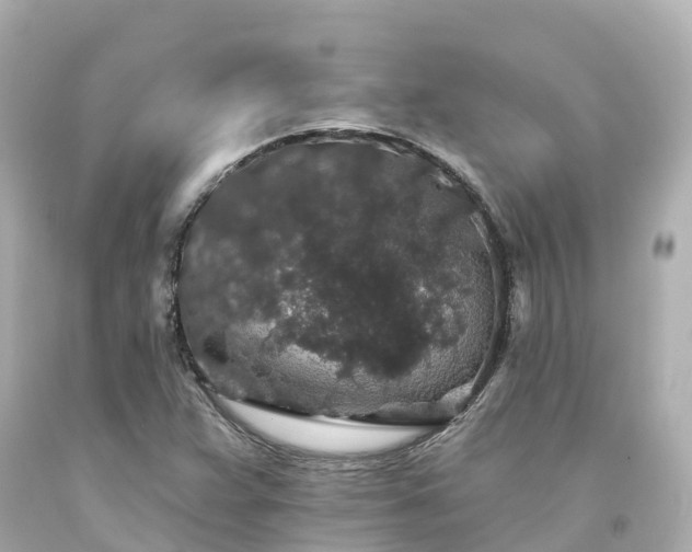 X0000094191359200711021018