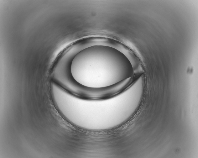 X0000094191360200711021018