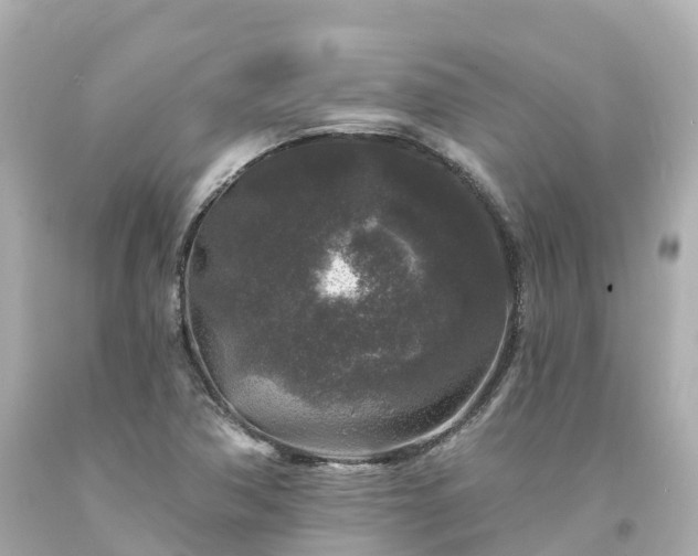 X0000094191362200711021018