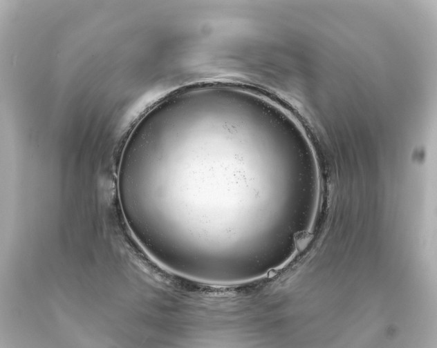 X0000094191363200711021018
