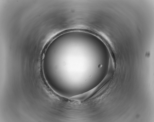X0000094191364200711021018