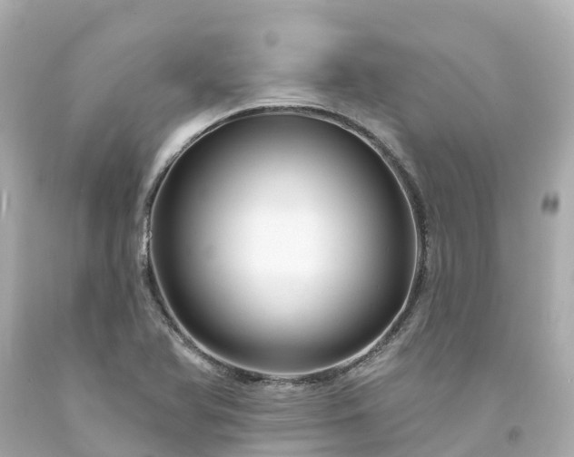 X0000094191366200711021018