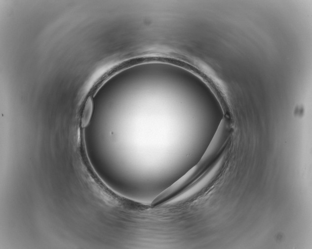 X0000094191368200711021018