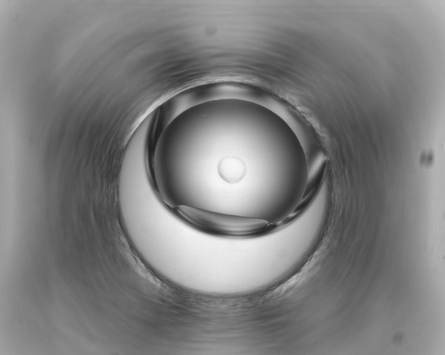 X0000094191369200711021018