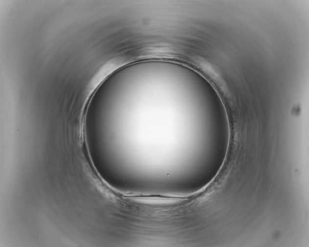 X0000094191370200711021018