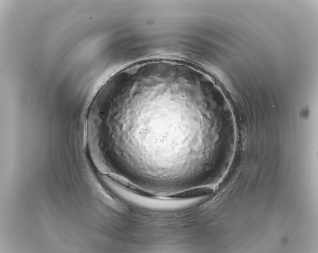 X0000094191371200711021018