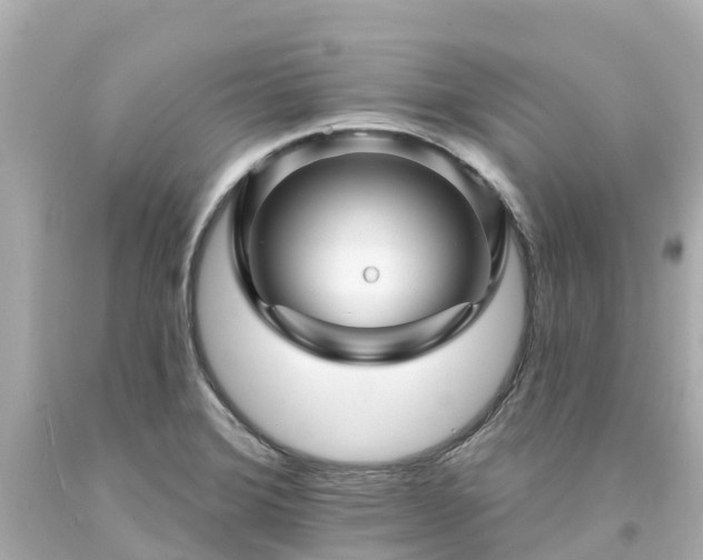 X0000094191372200711021018