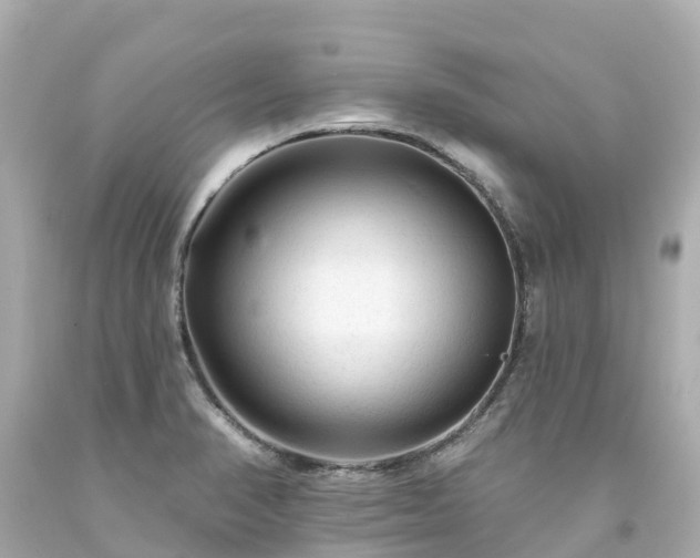 X0000094191374200711021018
