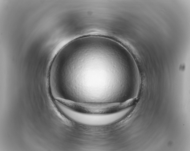 X0000094191375200711021018