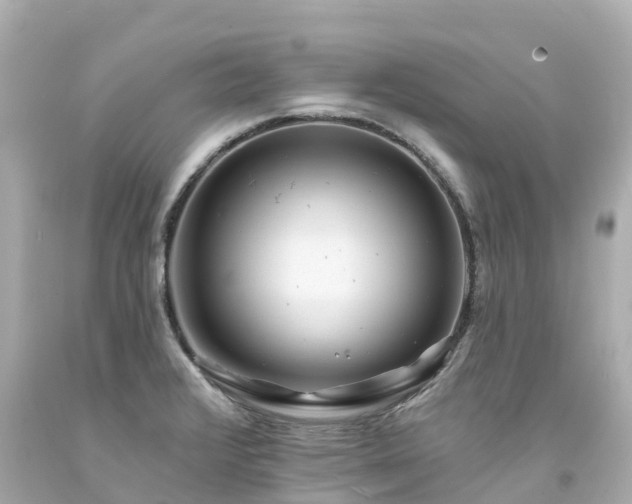 X0000094191376200711021018