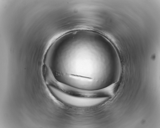 X0000094191379200711021018
