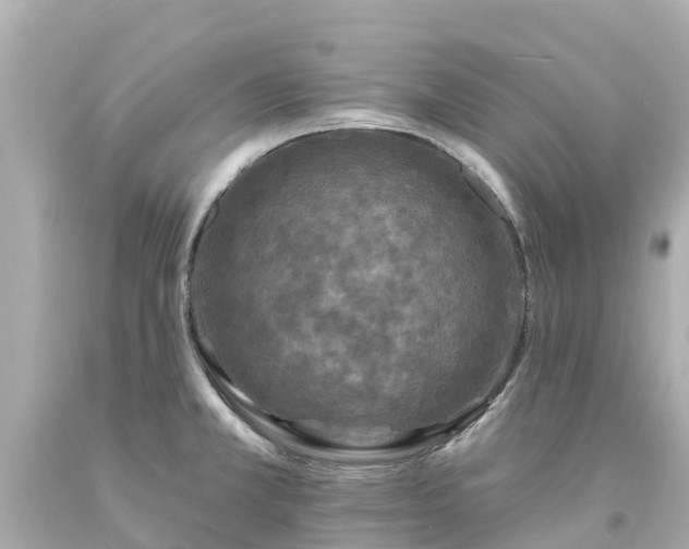 X0000094191381200711021018