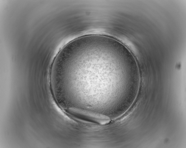 X0000094191382200711021018
