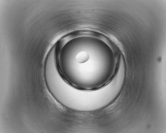 X0000094191384200711021018