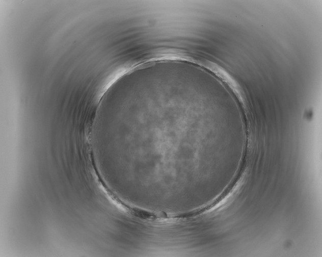 X0000094191385200711021018