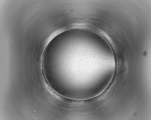 X0000094191386200711021018