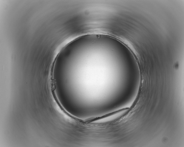 X0000094191387200711021018
