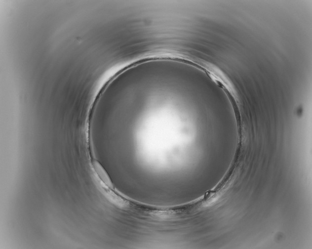X0000094191388200711021018