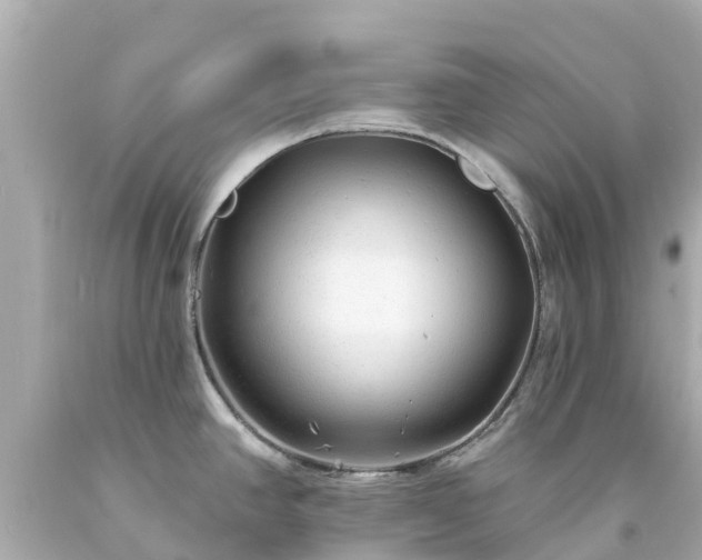 X0000094191390200711021018