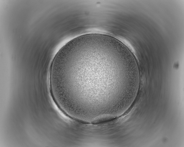 X0000094191391200711021018