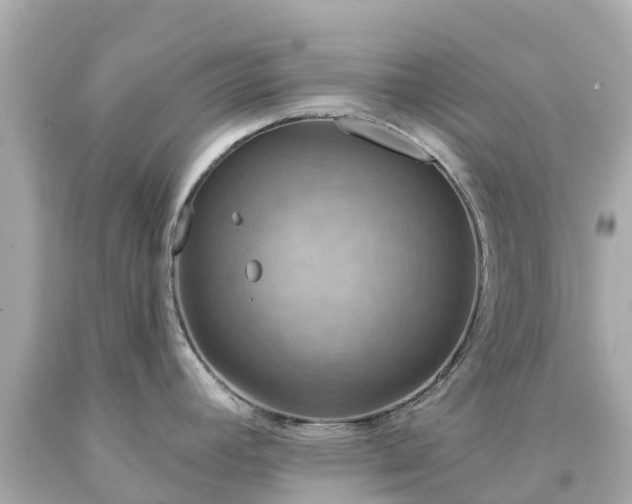 X0000094191392200711021018