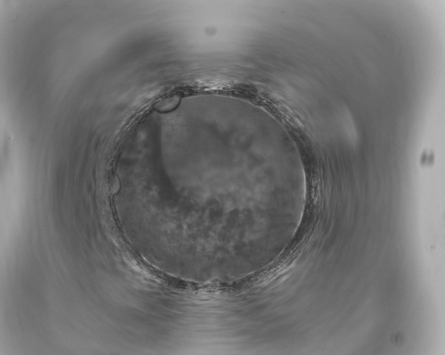 X0000094191393200711021017