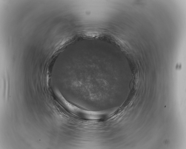 X0000094191394200711021017