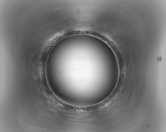 X0000094191398200711021017