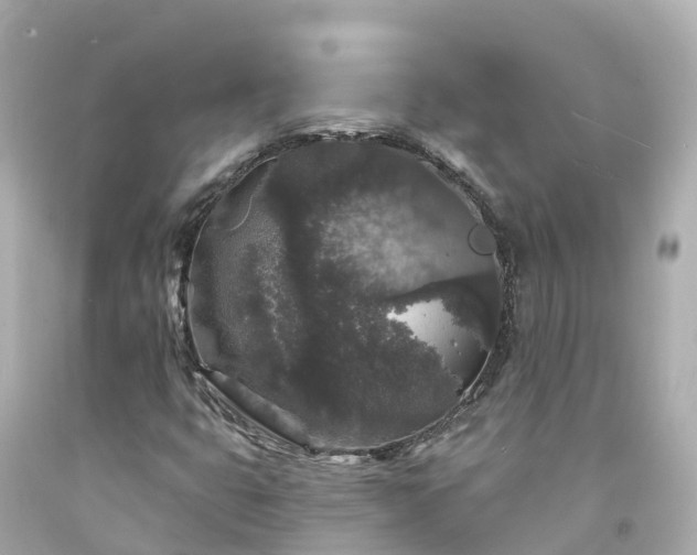 X0000094191399200711021017