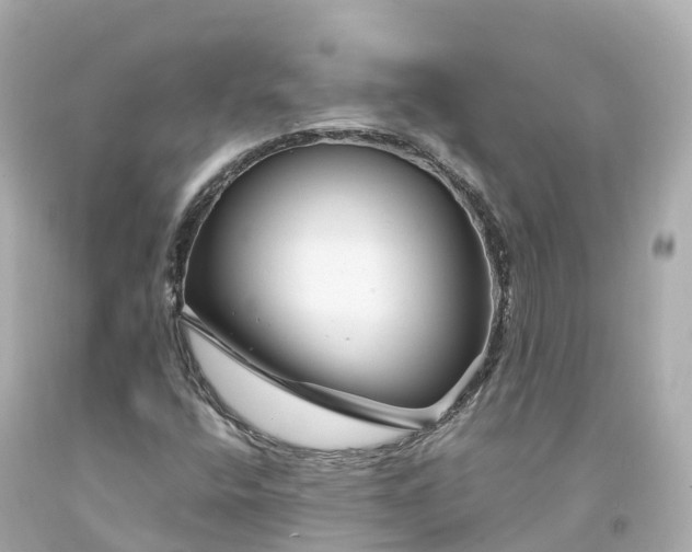 X0000094191400200711021017