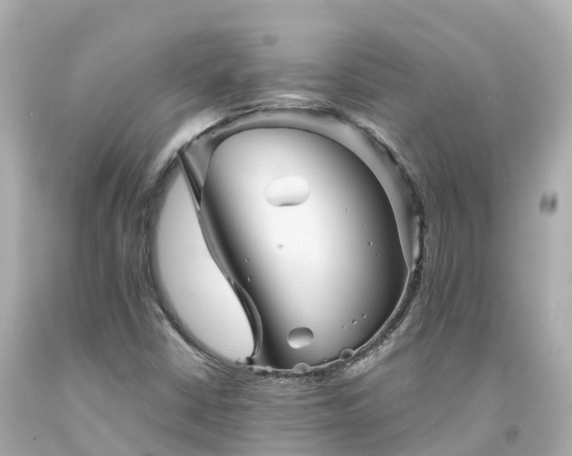 X0000094191402200711021017