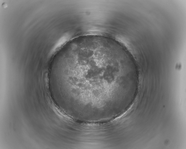X0000094191403200711021017
