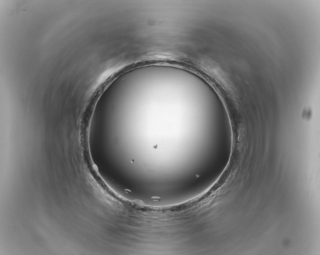 X0000094191404200711021017