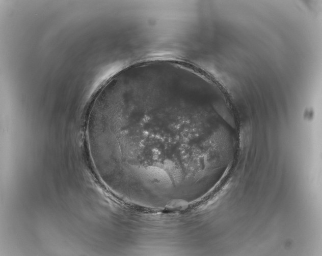 X0000094191405200711021017