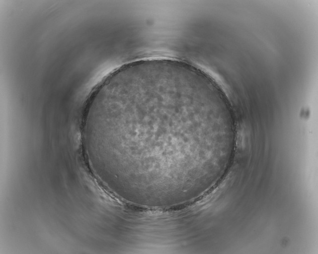 X0000094191407200711021017