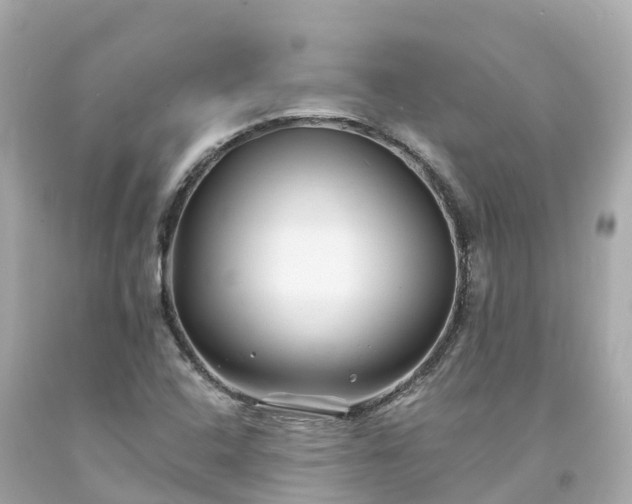 X0000094191408200711021017