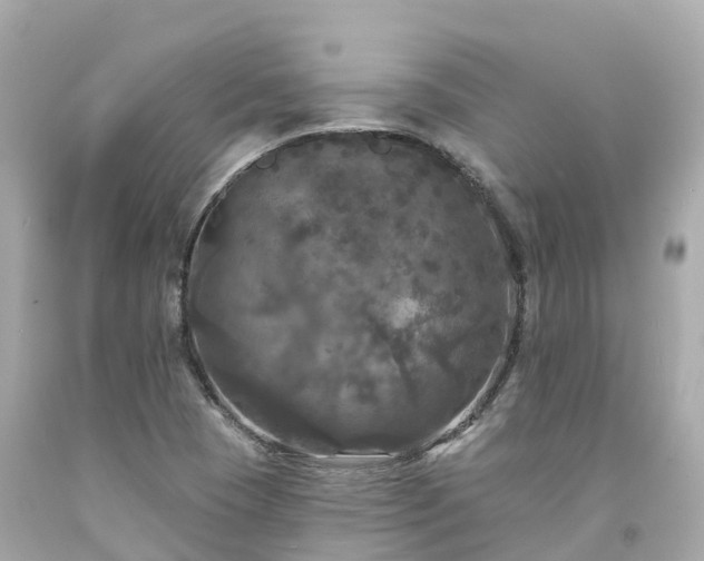 X0000094191409200711021017