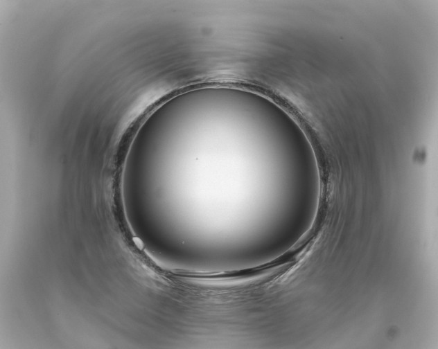 X0000094191410200711021017