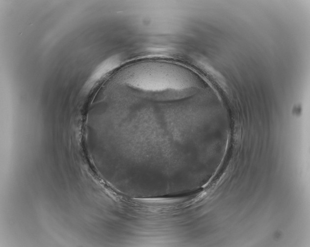 X0000094191411200711021017
