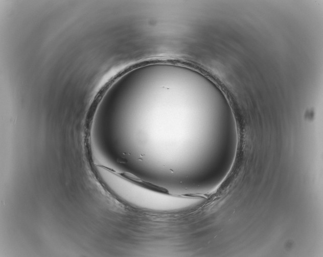 X0000094191412200711021017