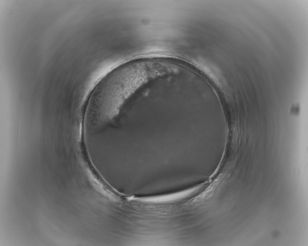 X0000094191413200711021017